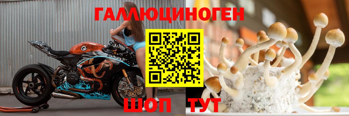 где купить наркоту  Артём  Галлюциногенные грибы мухоморы 